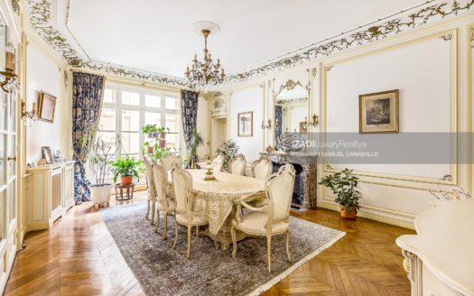 Luxurious apartment in The Trocadero, Paris