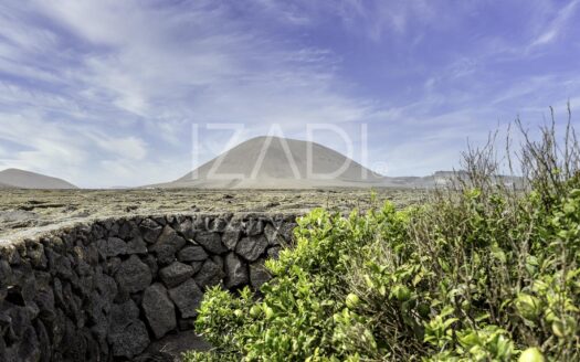 Finca de Viñedos de más de 40.000 metros cuadrados en La Florida, Lanzarote