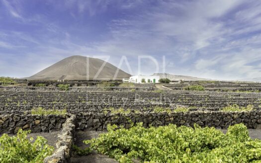 Finca de Viñedos de más de 40.000 metros cuadrados en La Florida, Lanzarote