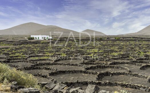 Finca de Viñedos de más de 40.000 metros cuadrados en La Florida, Lanzarote