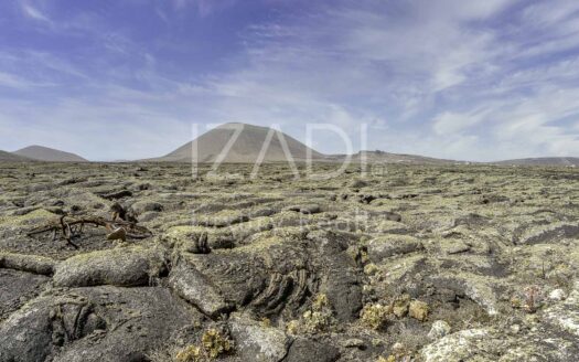 Finca de Viñedos de más de 40.000 metros cuadrados en La Florida, Lanzarote