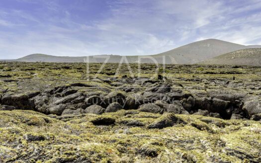 Finca de Viñedos de más de 40.000 metros cuadrados en La Florida, Lanzarote