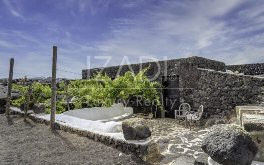 Finca de Viñedos de más de 40.000 metros cuadrados en La Florida, Lanzarote