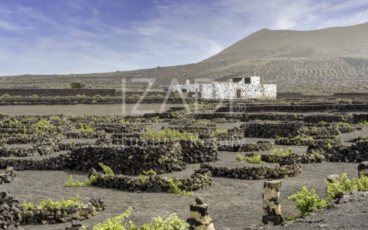 Finca de Viñedos de más de 40.000 metros cuadrados en La Florida, Lanzarote