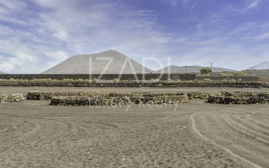 Finca de Viñedos de más de 40.000 metros cuadrados en La Florida, Lanzarote