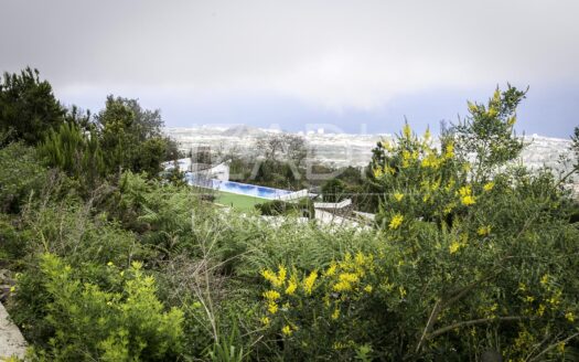 Rural Tourist Complex in La Orotava Valley