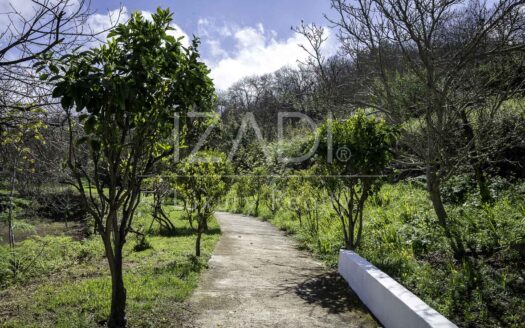 Rural Tourist Complex in La Orotava Valley